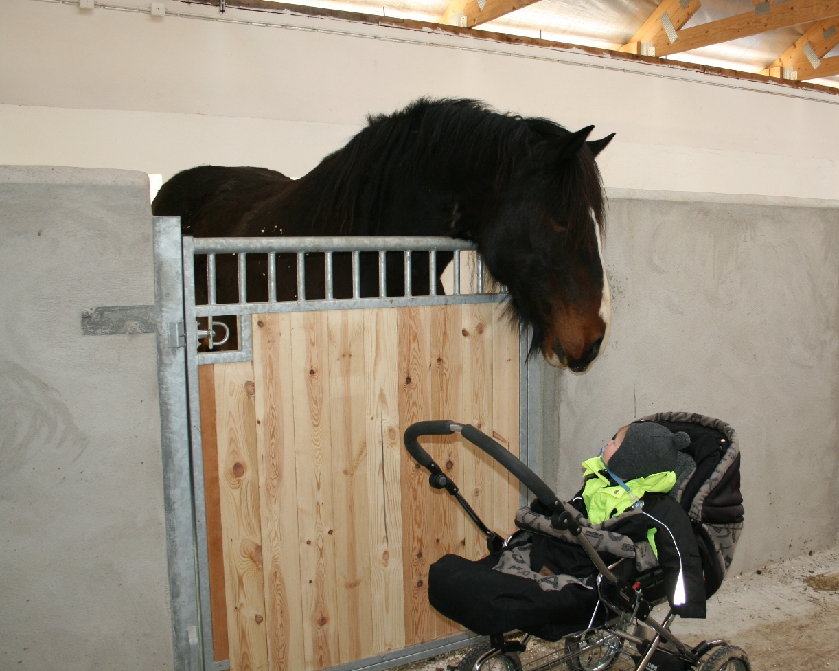 stall